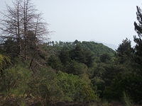Serra_Buffa - 20110904 013.jpg